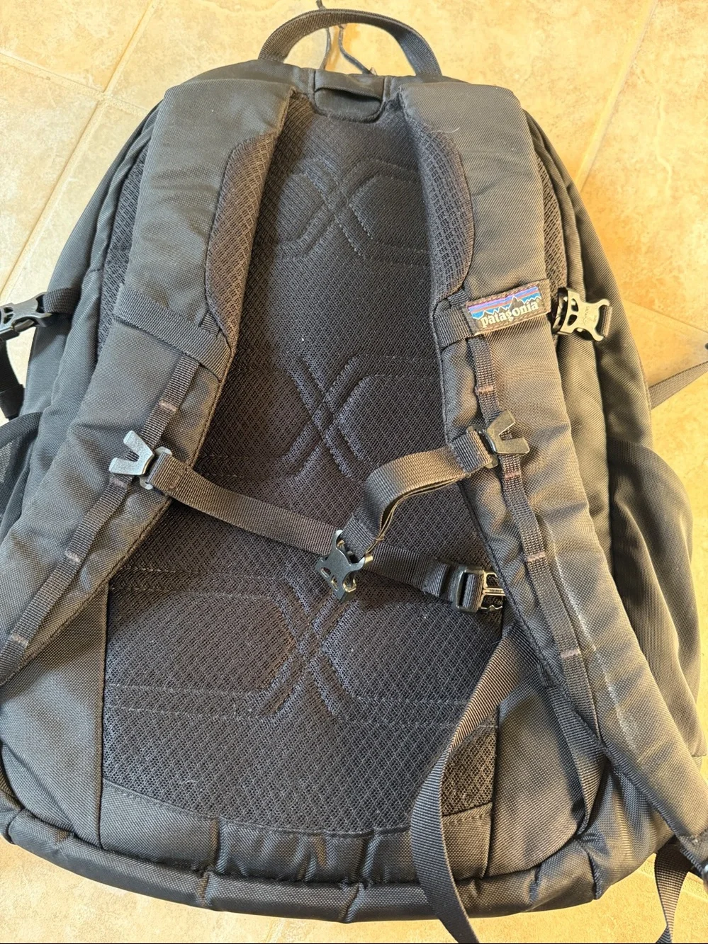 Patagonia sturdy backpack